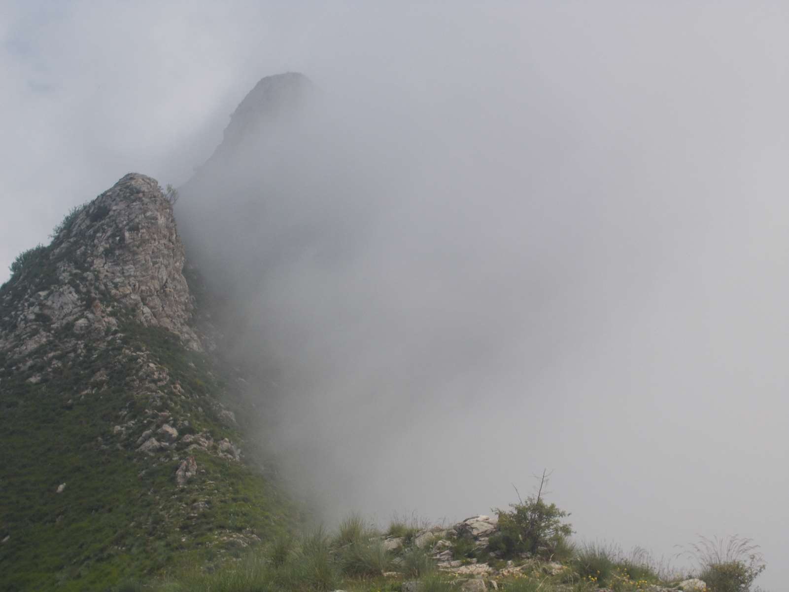 Mangiabo 15062021 51 