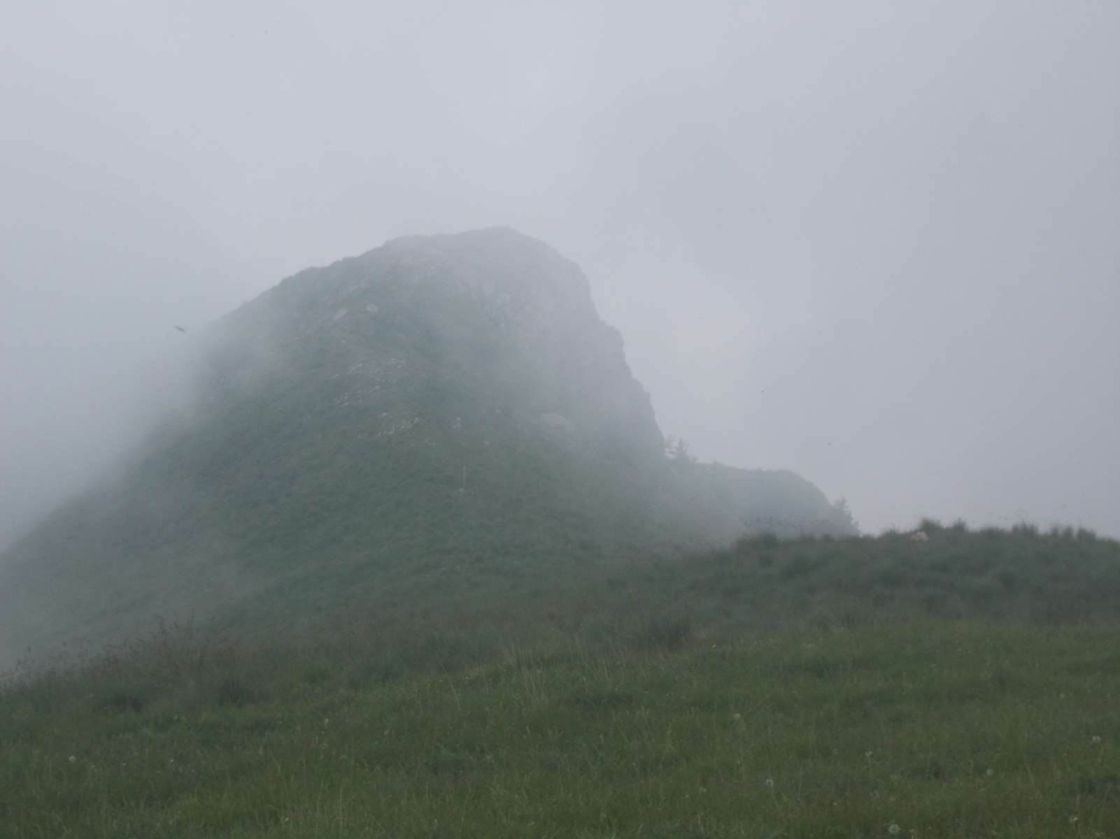 Mangiabo 15062021 61 