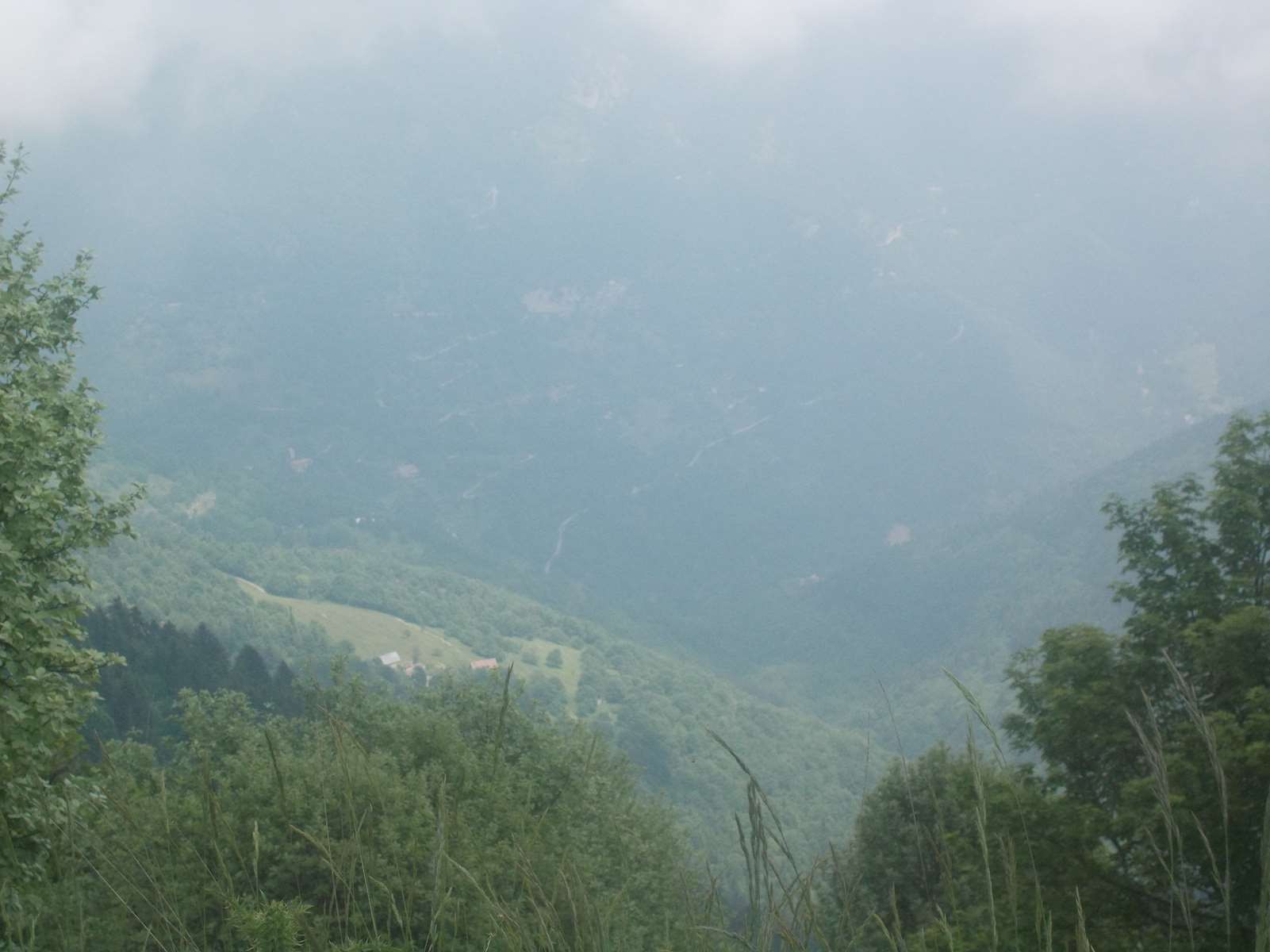 Mangiabo 15062021 68 