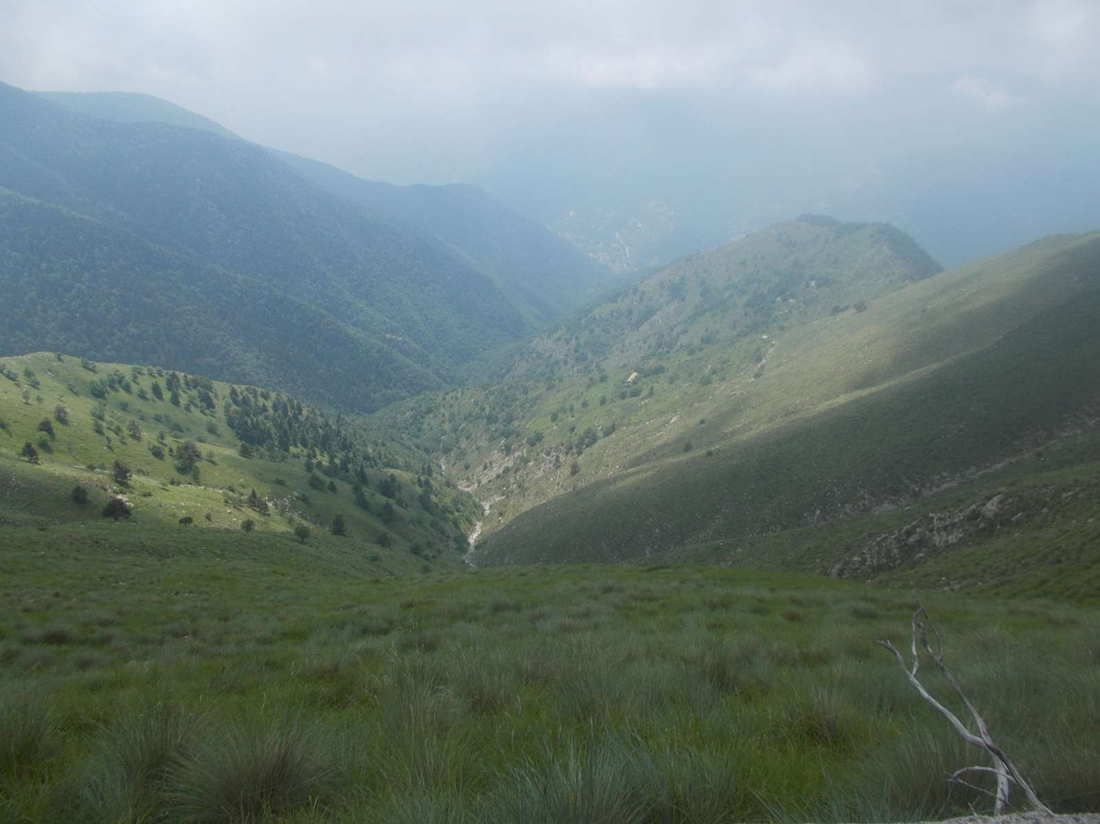 Mangiabo 15062021 71 