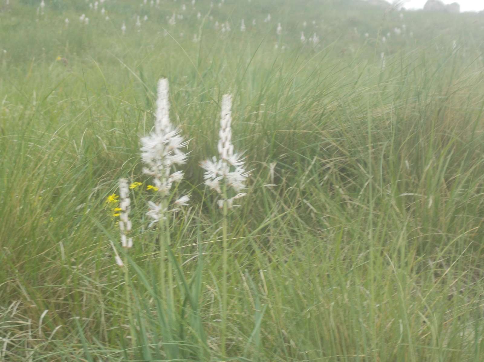 Mangiabo 15062021 74 