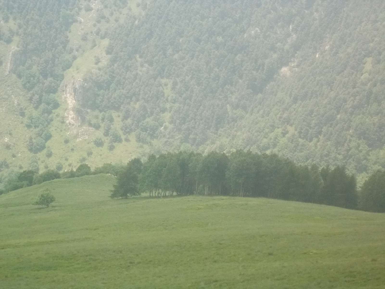 Mangiabo 15062021 77 