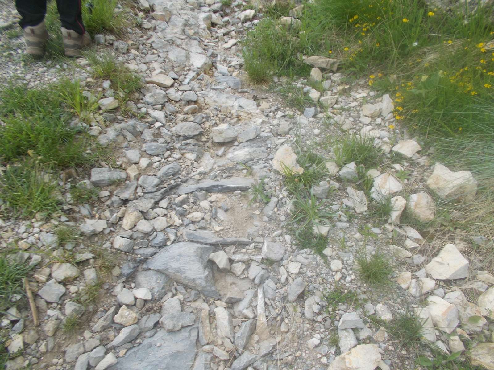 Mangiabo 15062021 81 