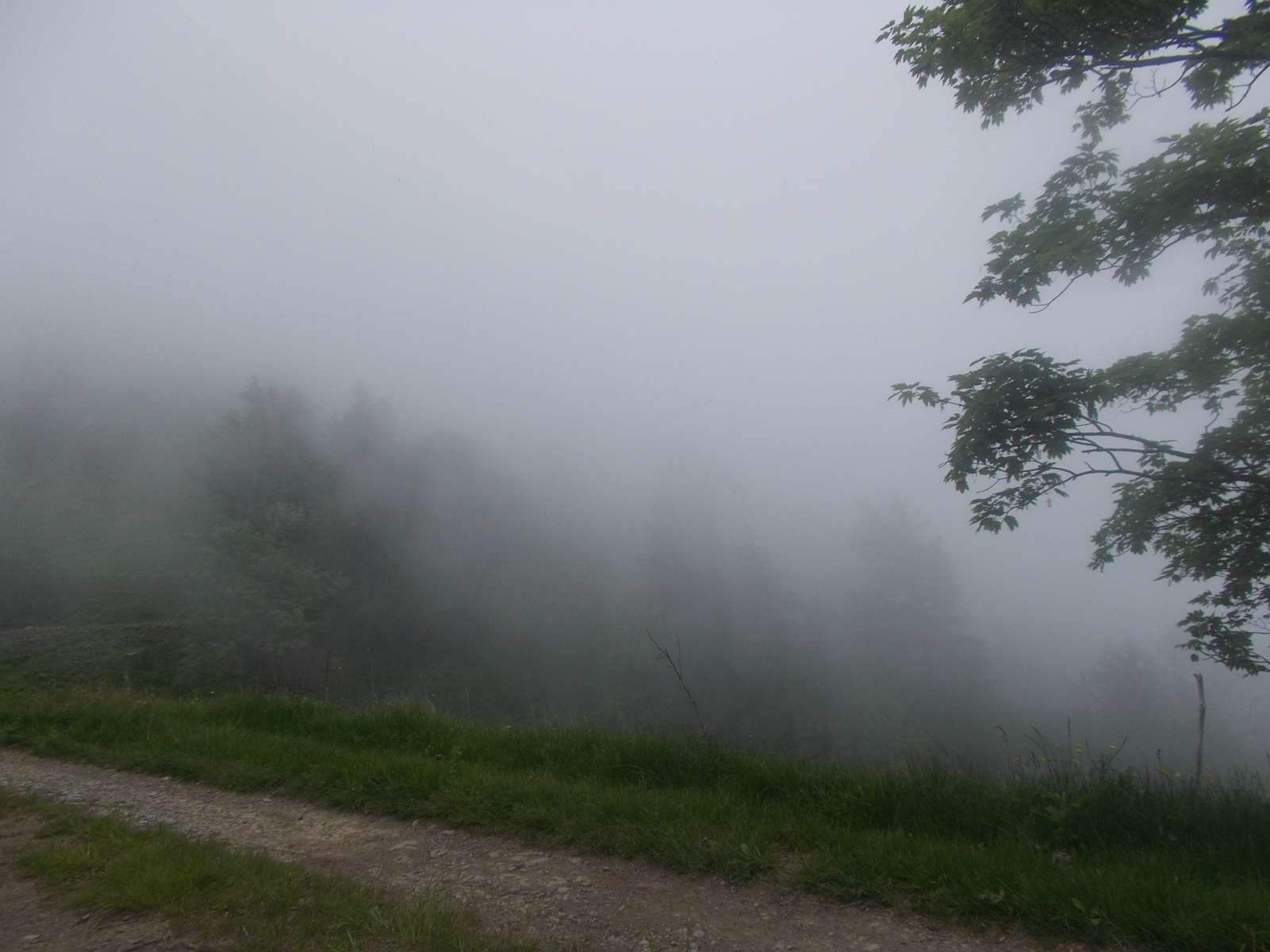 Mangiabo 15062021 85 