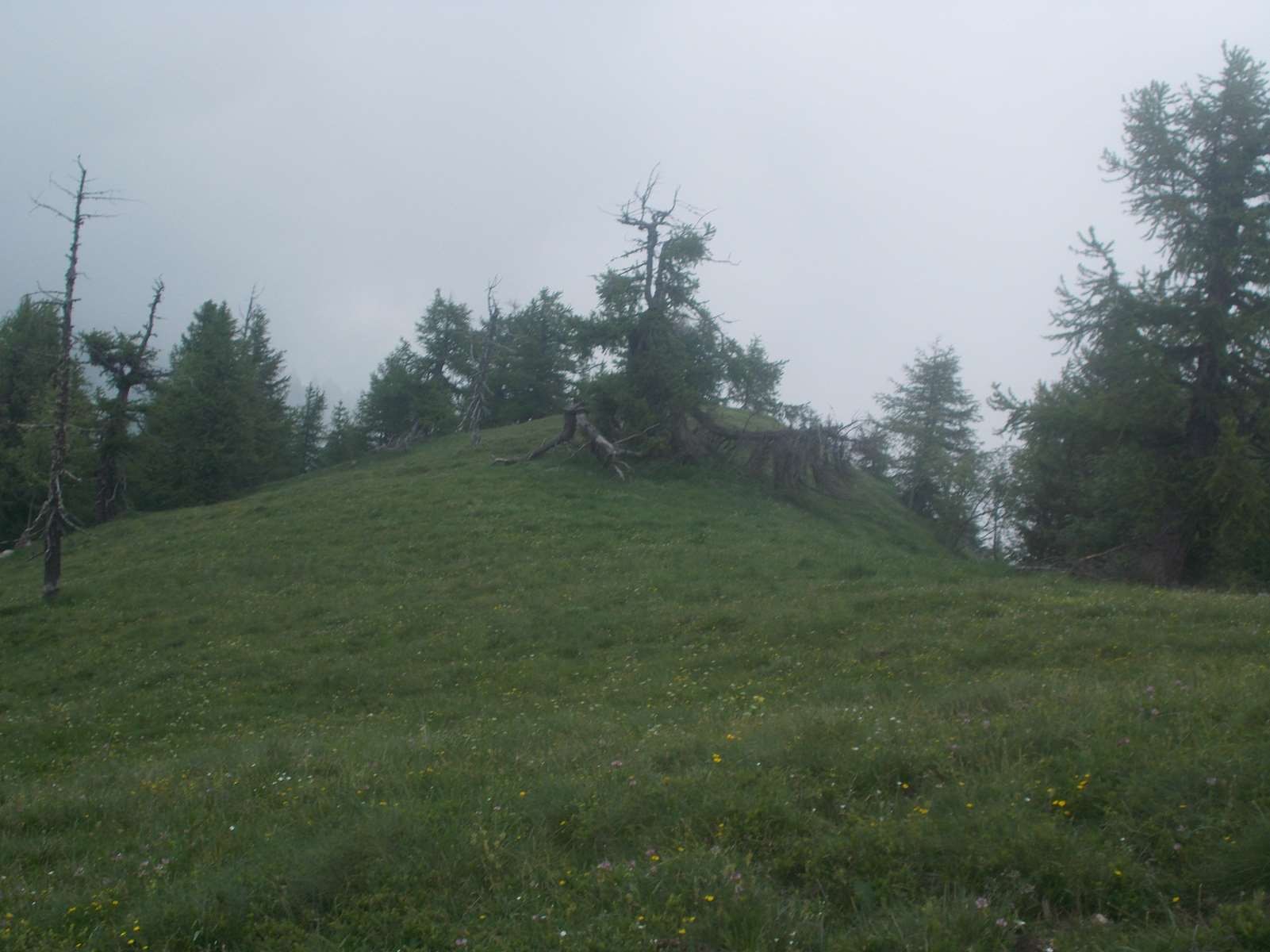 Mangiabo 15062021 88 