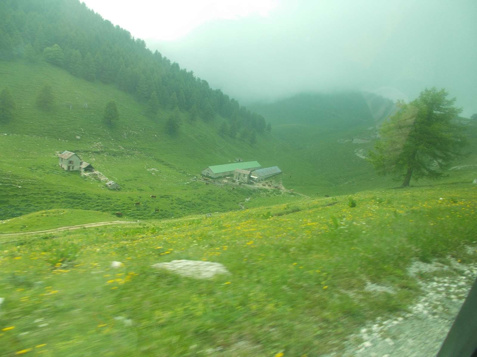 Mangiabo 15062021 95 