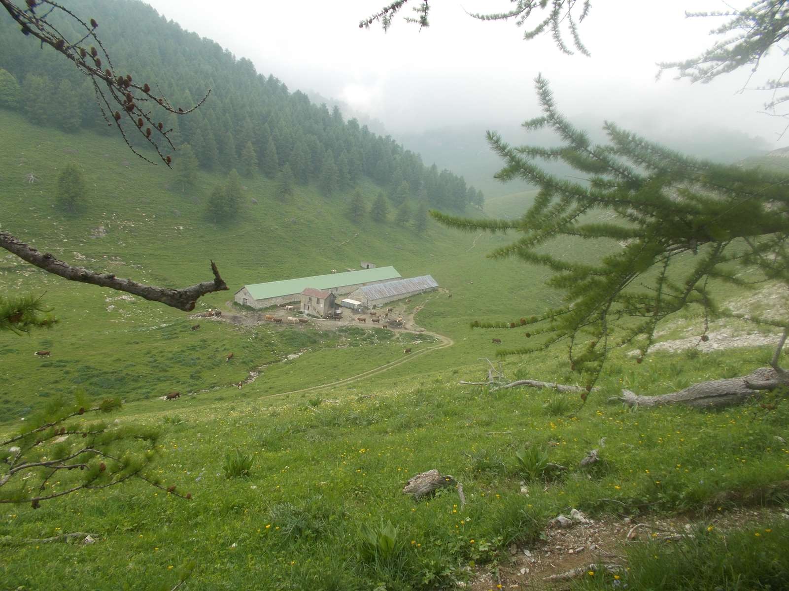 Mangiabo 15062021 96 