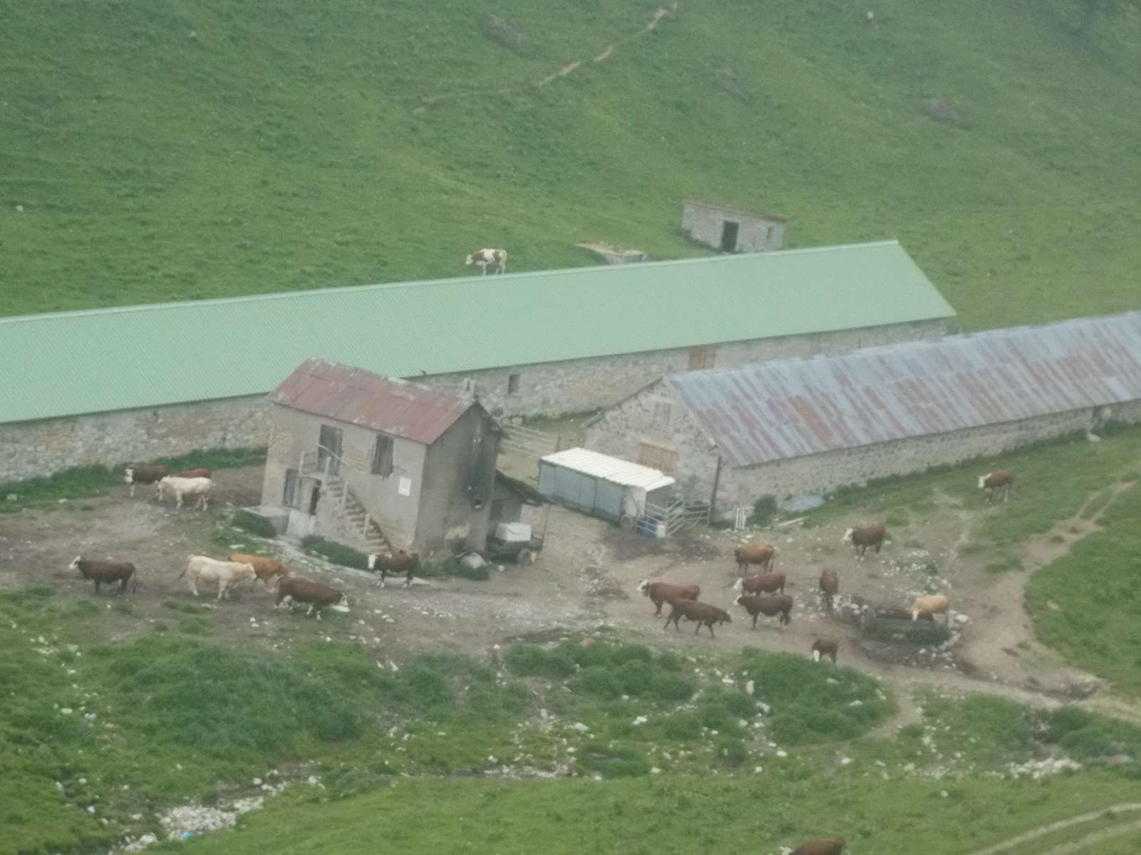 Mangiabo 15062021 97 