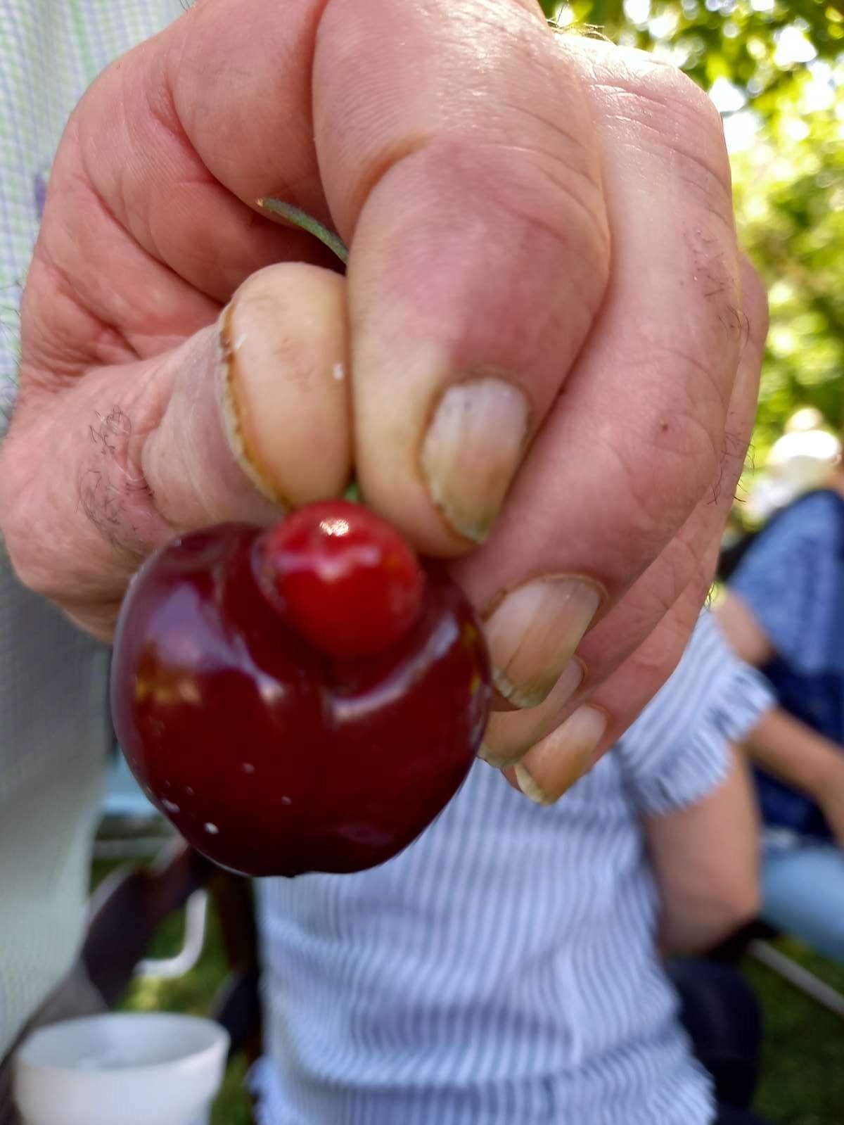 Pan bagnat 05062021 138 