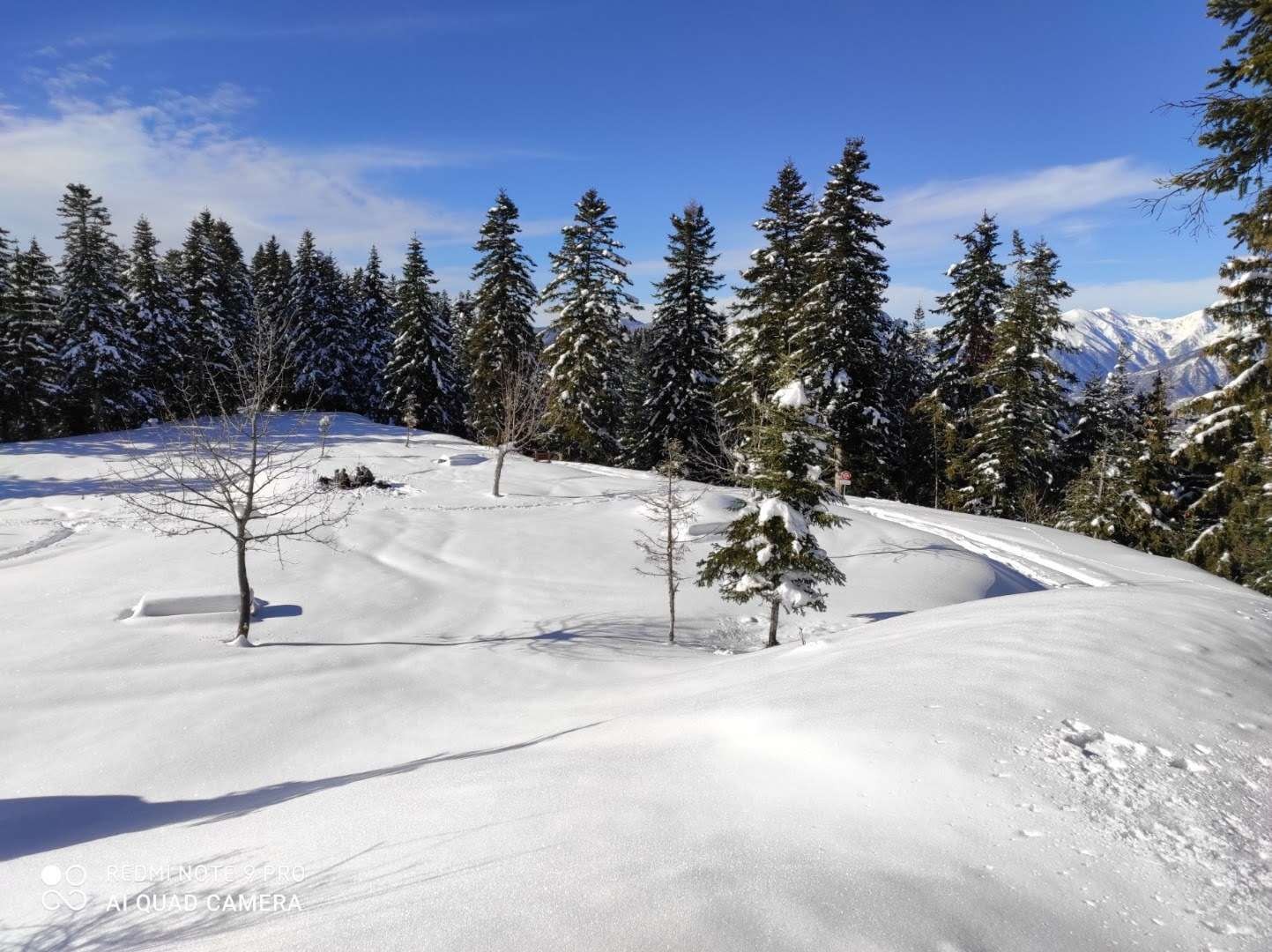 Resized image0000001020