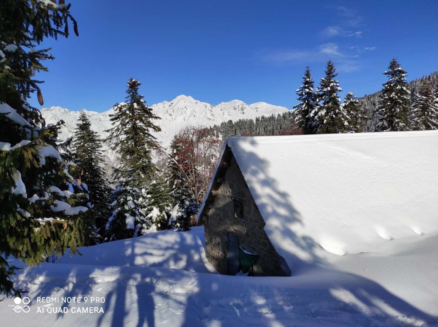 Resized image0000001021 1 