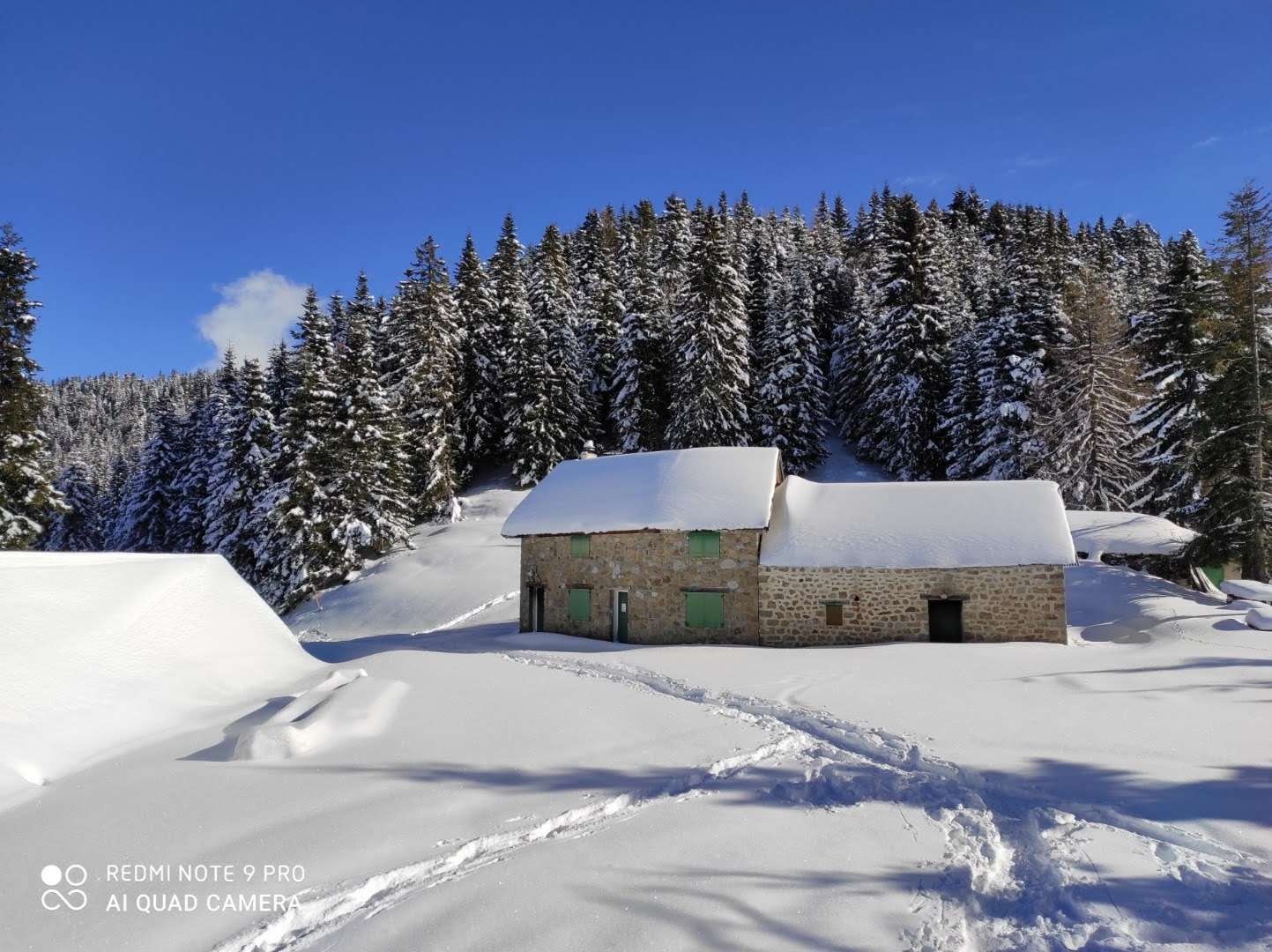 Resized image0000001021 2 