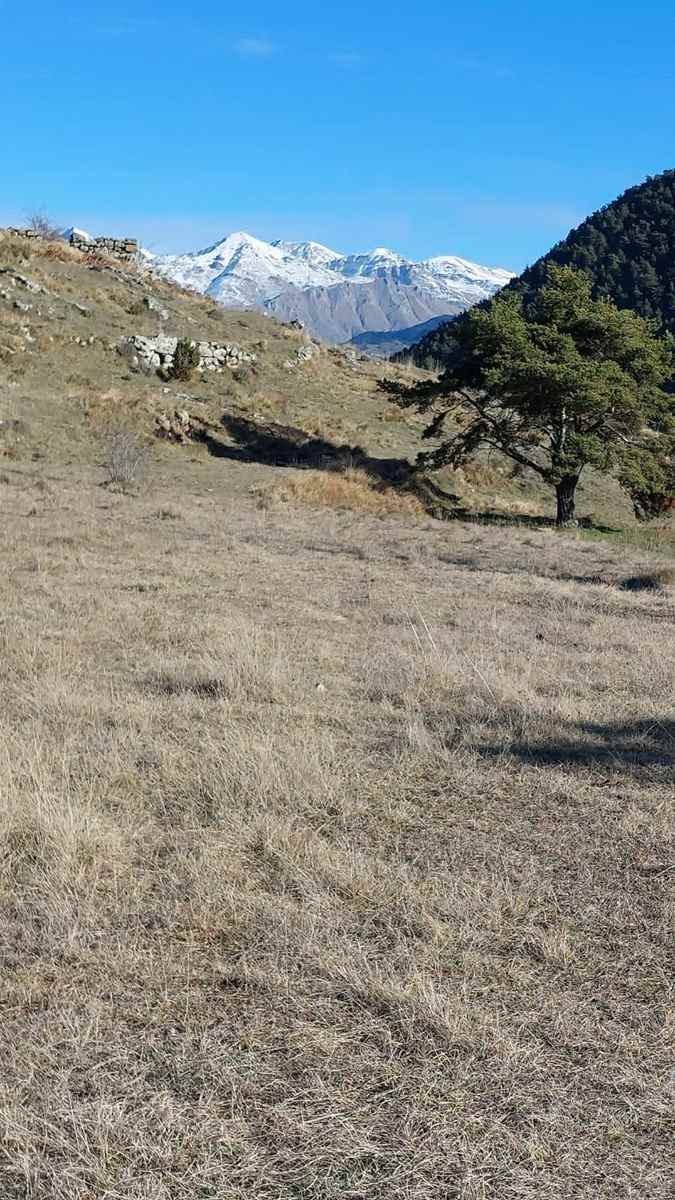 Rocca spaviera 14012025 9 