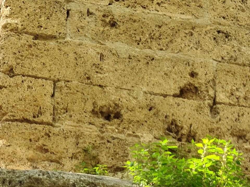 Sejour marcel pagnol 210610 108 