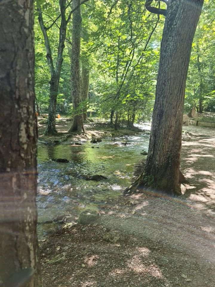 Sejour marcel pagnol 210610 119 