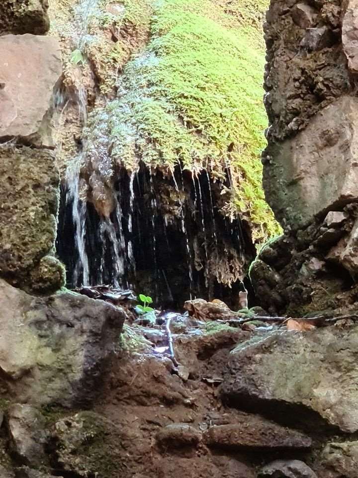 Sejour marcel pagnol 210610 121 