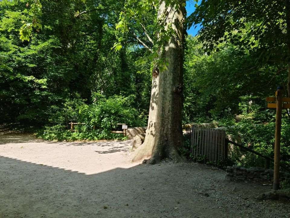 Sejour marcel pagnol 210610 123 