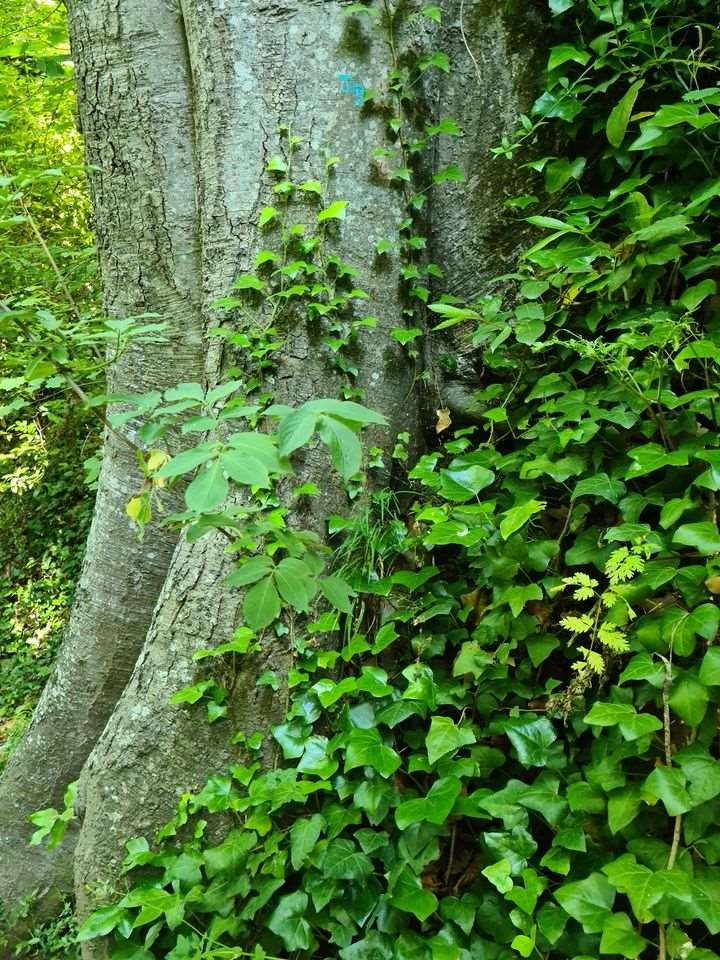 Sejour marcel pagnol 210610 125 