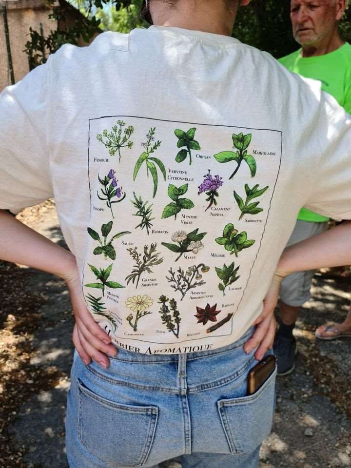 Sejour marcel pagnol 210610 128 