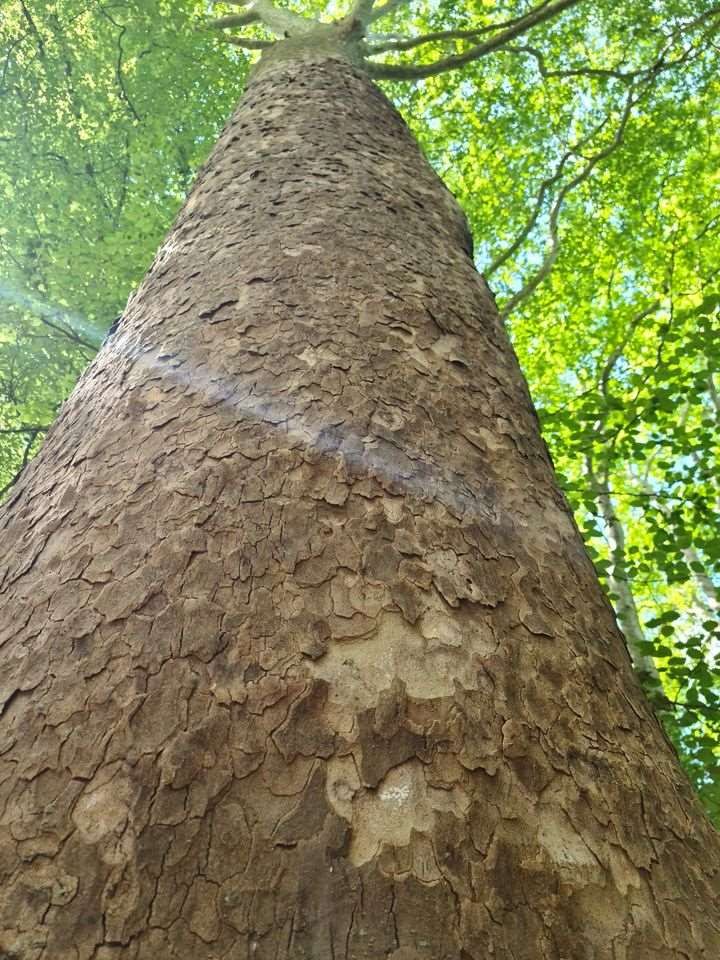 Sejour marcel pagnol 210610 130 