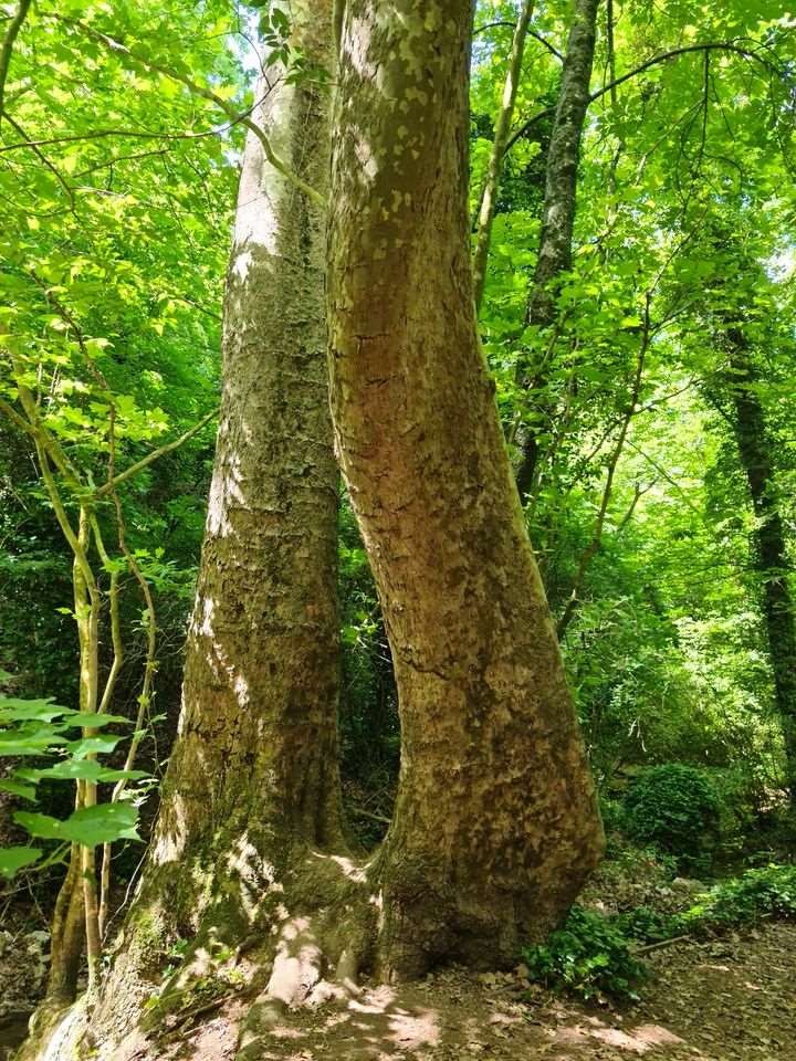 Sejour marcel pagnol 210610 132 