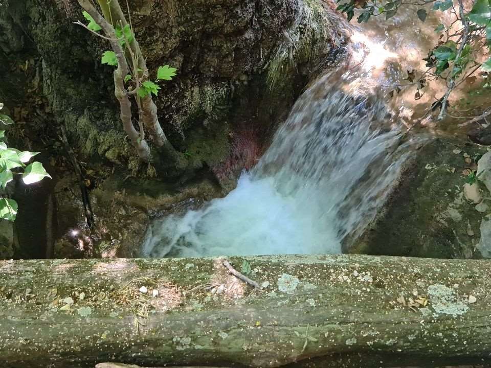 Sejour marcel pagnol 210610 134 