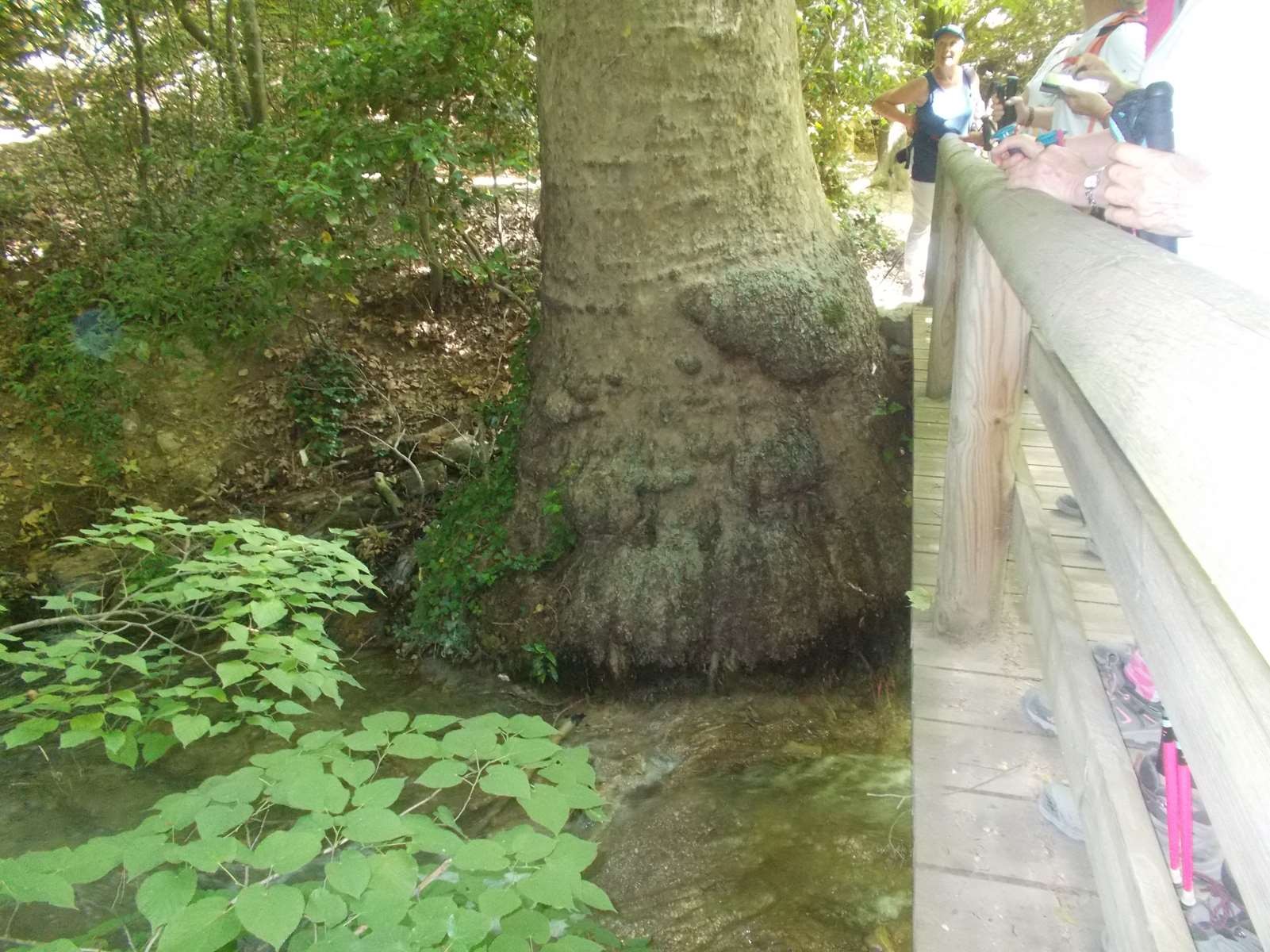 Sejour marcel pagnol 210610 85 