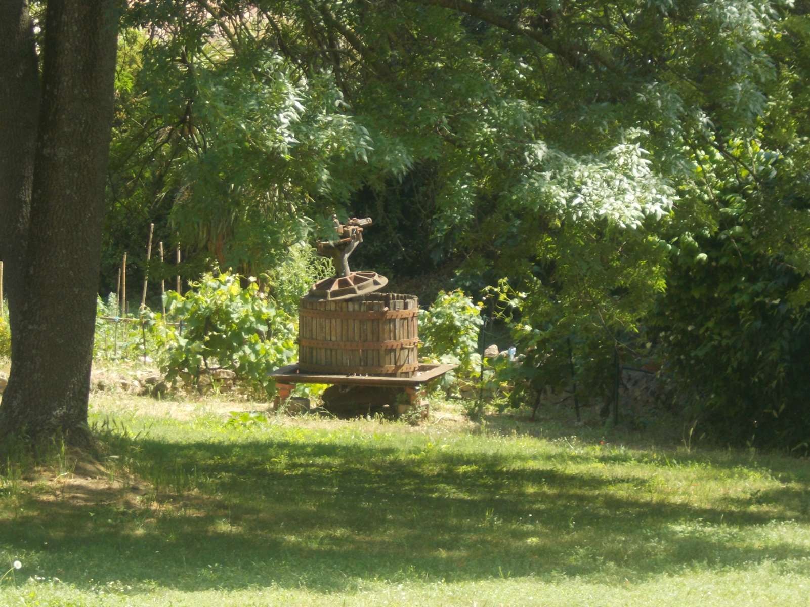 Sejour marcel pagnol 210610 99 