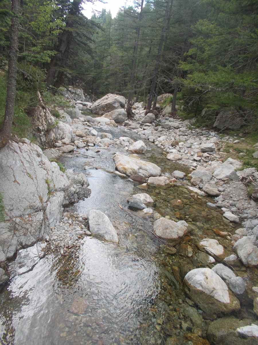 Trecolpas 12072022 147 